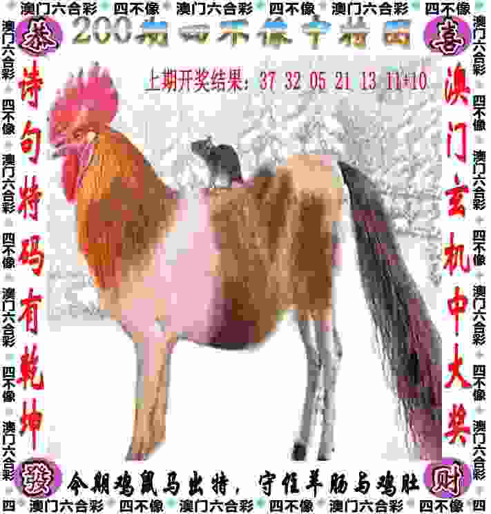 郑钦文顺利晋级法网女单第二轮